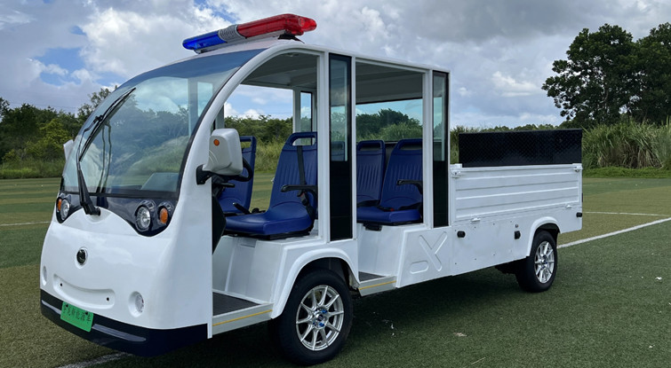 雙排(pai)物(wù)流巡邏車(che)