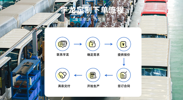 新(xin)能(néng)源觀光車(che)